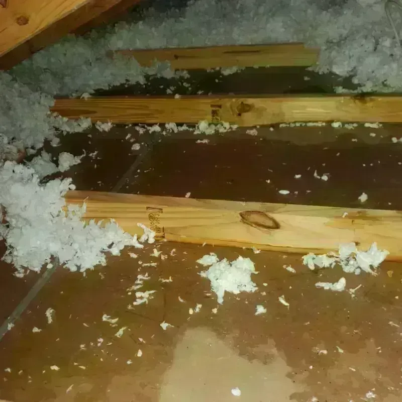 Attic Water Damage in Kemp, TX