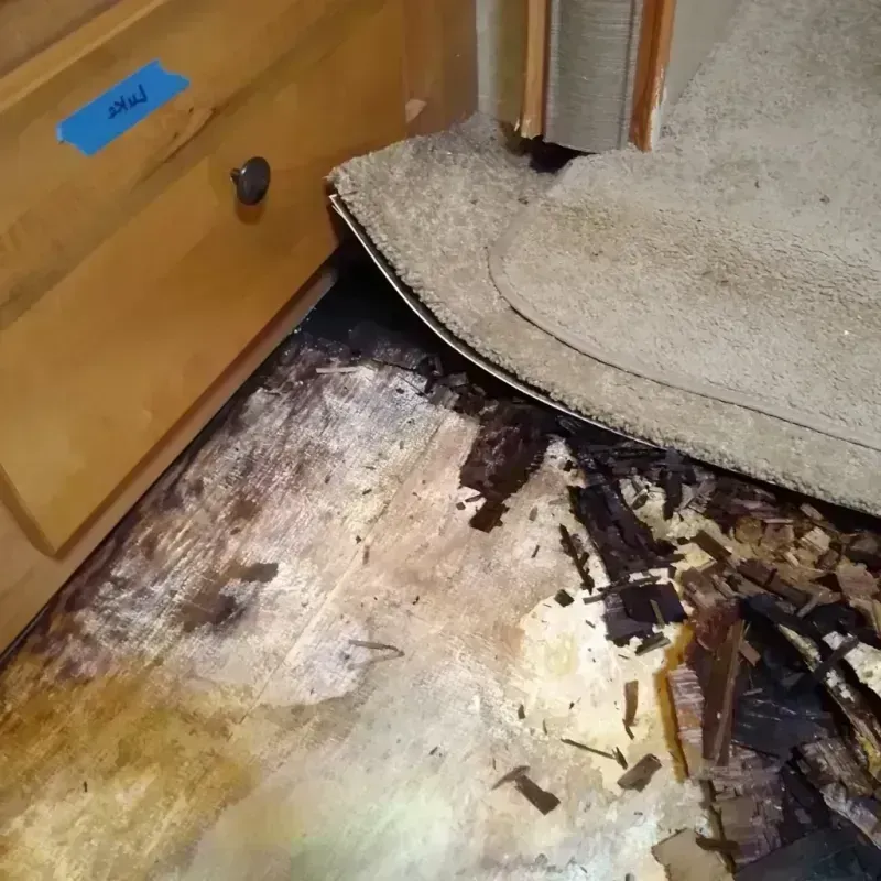 Best Wood Floor Water Damage Service in Kemp, TX